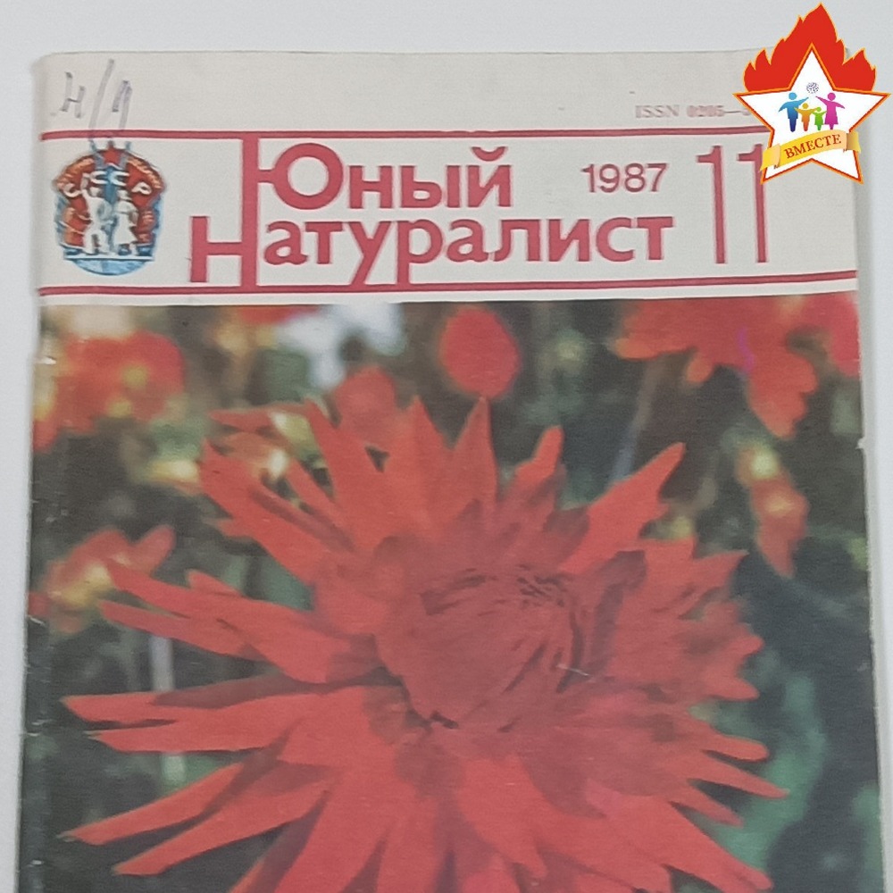 Журнал 